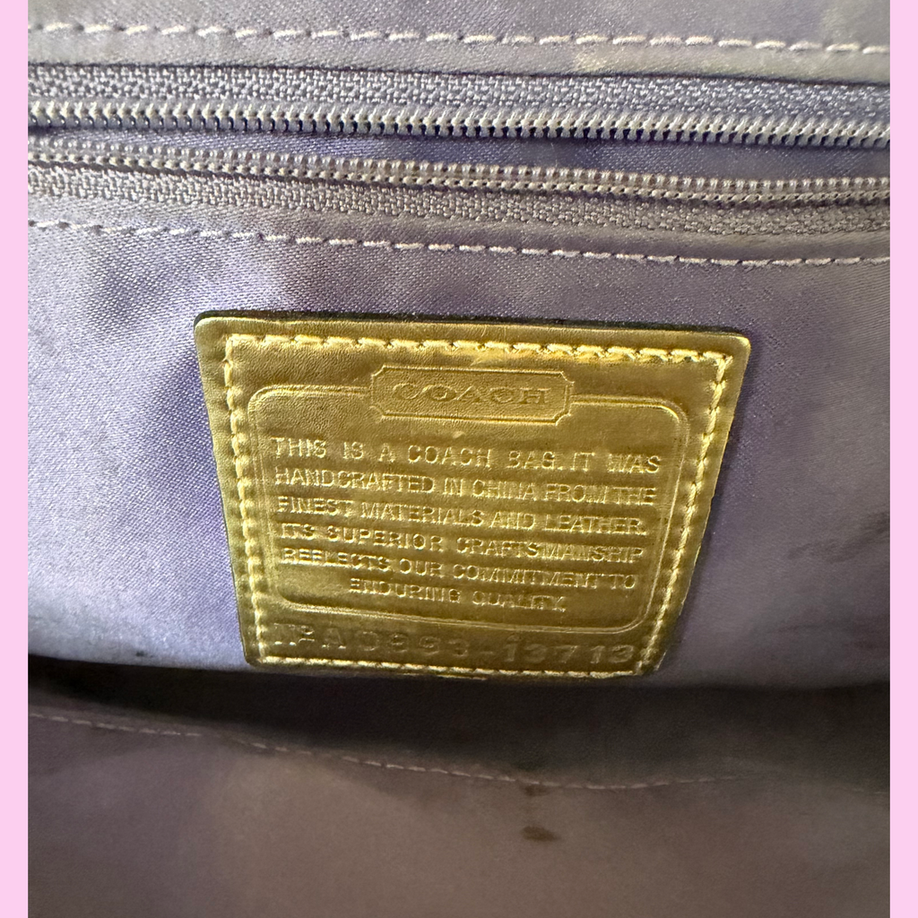 COACH python iridescent embossed purse